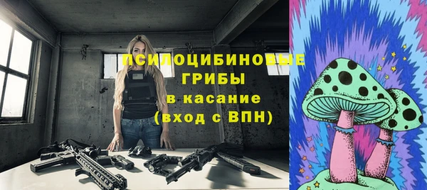 гашик Покров