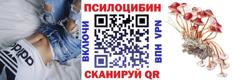 Псилоцибиновые грибы MAGIC MUSHROOMS  ОМГ ОМГ рабочий сайт  Нижняя Тура 